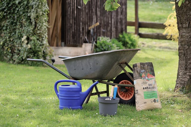 Je tuin zomer klaar maken: 5 praktische tips voor een gezonde tuin