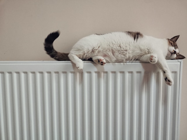 Frezen voor vloerverwarming: hoe werkt het en wanneer is het geschikt?